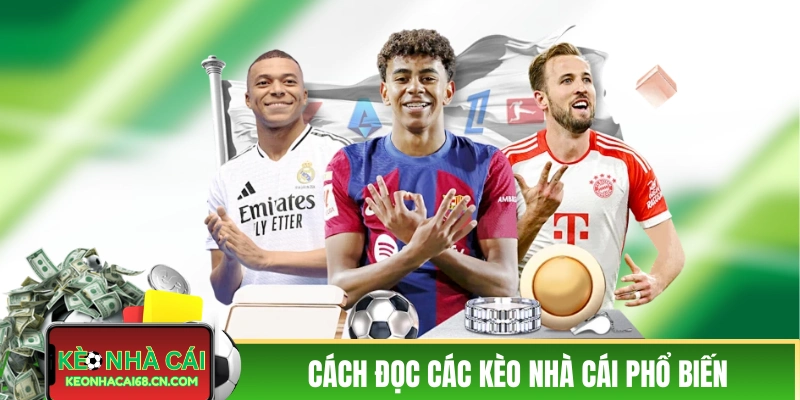 Cách đọc các kèo nhà cái phổ biến