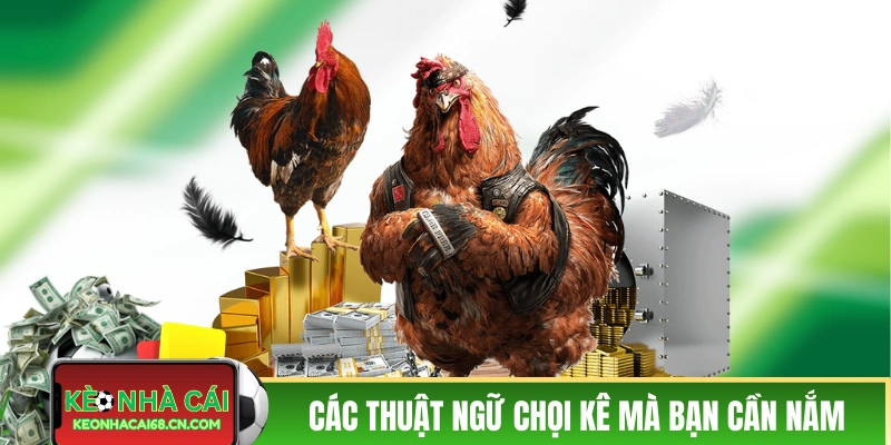 Các thuật ngữ chọi kê mà bạn cần nắm