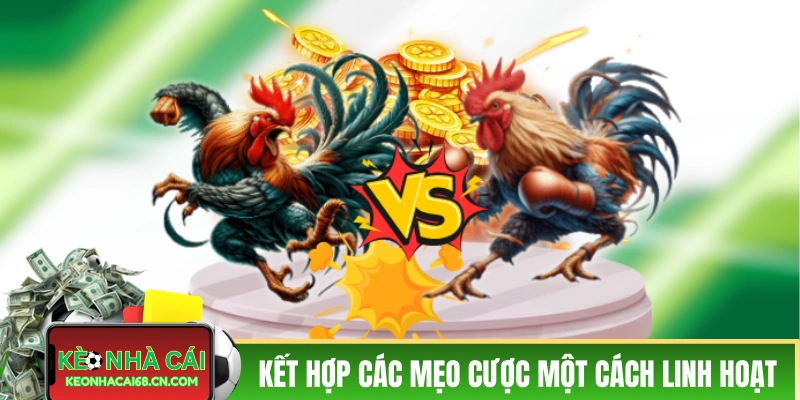 Kết hợp các mẹo cược một cách linh hoạt