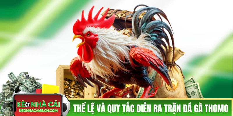 Thể lệ và quy tắc diễn ra của trận đá gà Thomo