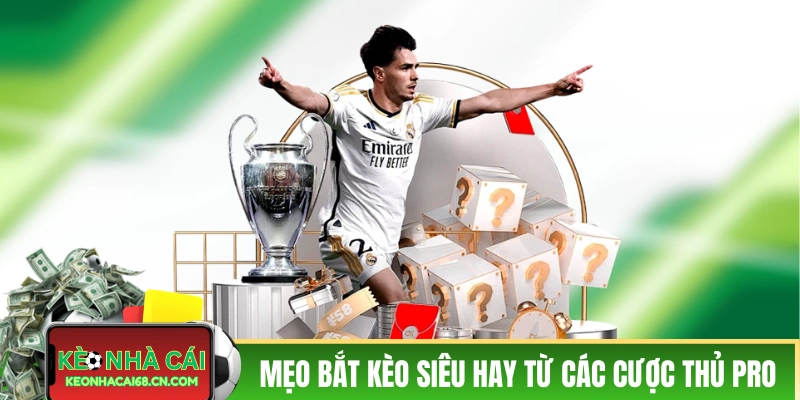 Mẹo bắt kèo siêu hay từ các cược thủ pro